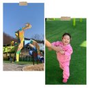 석정근린공원 CCTV | 평택 석정근린공원 두돌 아기랑 다녀온 후기 • 평택 아기랑 가볼만한 곳