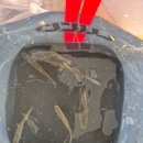 성불주차장 | [광양] 아이들 물놀이 하기 좋은 성불계곡 수영장 &#39;백운산쉼터&#39;