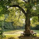 죽장휴게소 이미지