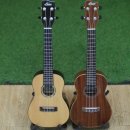 일반인우쿨렐레 이미지