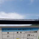 (주)영남해외여행사 이미지