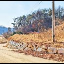 이산면사무소 이미지