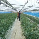 방주농원 이미지