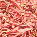 수복농장 이미지