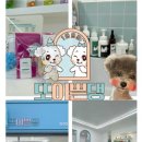 애견미용실 또이쁜댕 이미지