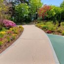 몽마르뜨공원 이미지