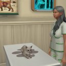 왕궁동물병원 이미지