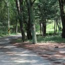 홍계마을 이미지