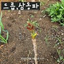 문경집