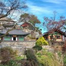 내원자동차야영장 이미지