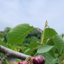 써미트세탁 이미지