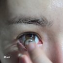 궉기정 안경 이미지