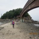 수원-0081 이미지