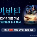 길라이브 티스토리