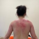 녹주맥반석 찜질방 | 마석 다이어트 찜질카페 다온 마사지남양주센타에서 테라노바 고주파관리 후기