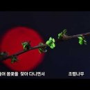 봄은 봄(視)이다 이미지