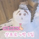 훼미리오락실 | 일본 홋카이도 삿포로 4박 5일 여행 일정 요약