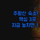 베스트갤러리모텔 이미지