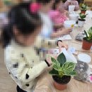 서해병설유치원 이미지