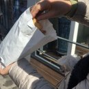 서안약국 | [데이트코스] 효창공원 : 태극기거리~용산시장~3대붕어빵