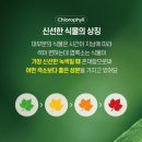 그린시너지 이미지