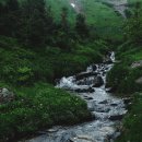 진성한의원 이미지