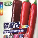 (주)풍원석회 농업회사법인 | 2020년 다나씨드 추천 고추종자! !