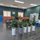 알미산로 이미지