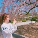 김윤정