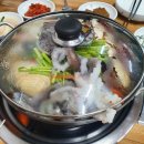 양지카써비스 이미지