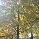 순천만국가정원 | 순천만국가정원 아이와 방문 후기｜하루 종일 걷는 자연·세계정원·가족여행 추천 코스