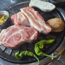 나라애견 | 포항 북구 고기 맛집 포항소금구이 영일대 애견동반 식당 추천 후기