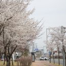 각산비나리공원 이미지
