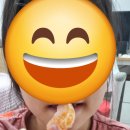 주일농장 | 제주일번농장 타이벡 귤을 소개합니다