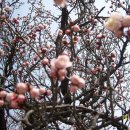 김해건설공업고등학교 이미지