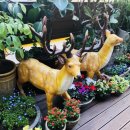 이루니유치원 이미지