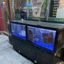 3단숙성다드림 네이버블로그
