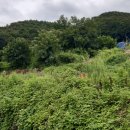 주덕읍사무소 이미지