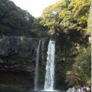 천지연폭포 이미지