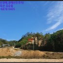 산145 토지(임야)경매/원주시 봉산동 산145 /2019타경503261