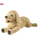 홈타운프라자 | 입주#5 뉴 홈타운 입주완료