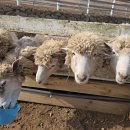 남해목장 이미지