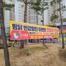 닥끌리네 이미지