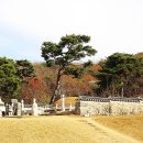 포은선생묘역 이미지