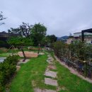 참솔 한우 네이버블로그