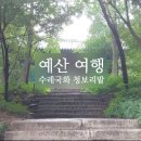 호수길 | 충남 예산 가볼만한곳 BEST 7 | 파란 수레국화 청보리 아그로랜드 백설농부
