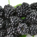 용우외가농장 이미지