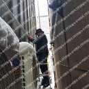 원형서로 이미지