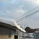 작은꿈들 이미지