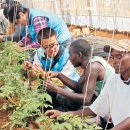 그린하우스 이미지